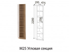 М25 Угловая секция в Югорске - yugorsk.магазин96.com | фото