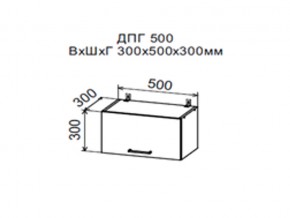 Шкаф верхний ДПГ500 горизонтальный в Югорске - yugorsk.магазин96.com | фото