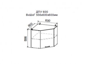 Шкаф верхний ДПУ600 угловой в Югорске - yugorsk.магазин96.com | фото